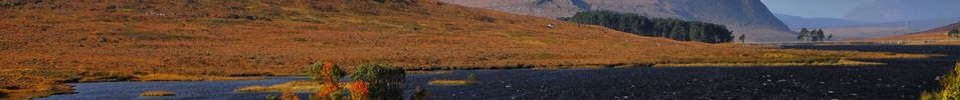 SVOTLAND TOURS AND SIGHTSEEING